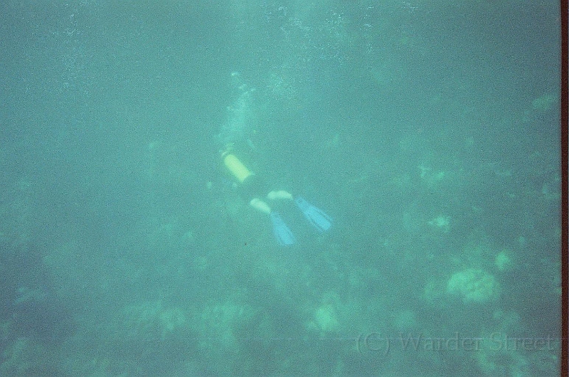Taylor Scuba Diving 04.jpg